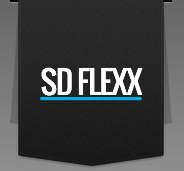 SD Flexx logo