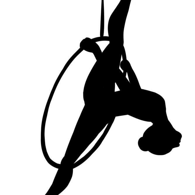 Aerialactive logo