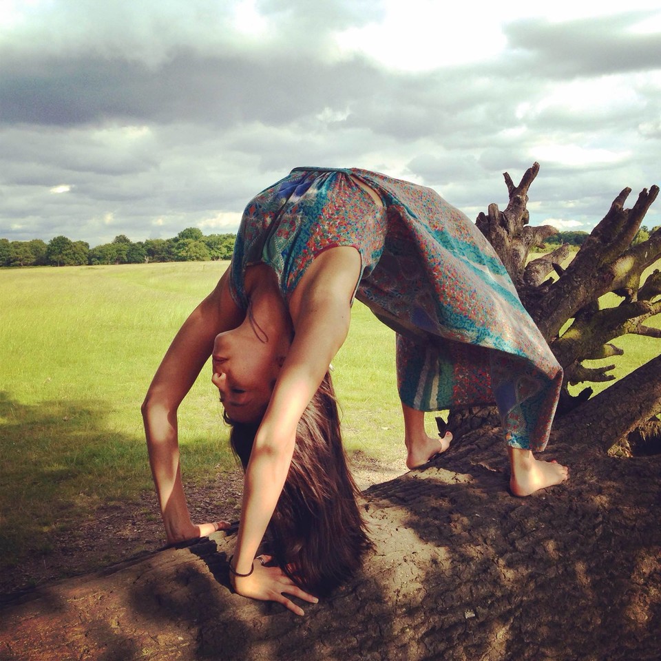 Elisa Lee Yoga logo